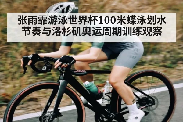 张雨霏游泳世界杯100米蝶泳划水节奏与洛杉矶奥运周期训练观察（iwon）